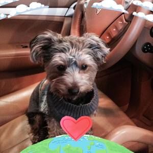 Meet your Posher, Angelica isabella